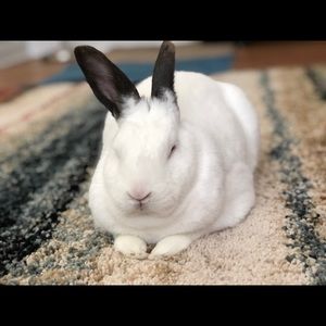 Meet your Posher, Meryl